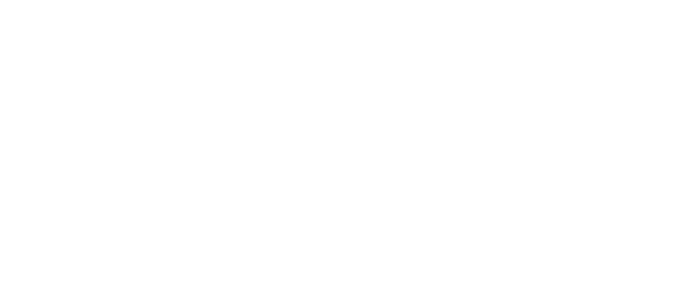 MetaVision